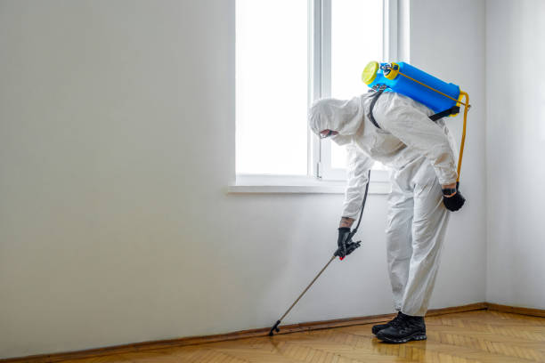 Best Termite Control Services  in USA